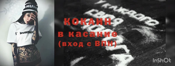 спиды Богданович