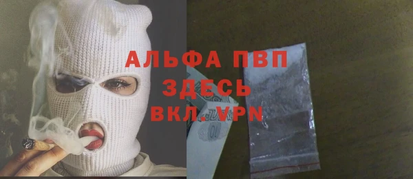 спиды Богданович