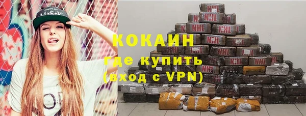 спиды Богданович