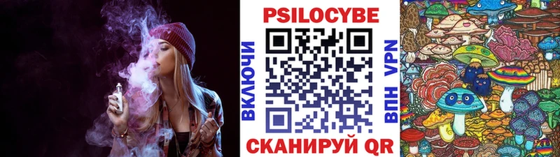 где найти   Кириши  Псилоцибиновые грибы Psilocybine cubensis 